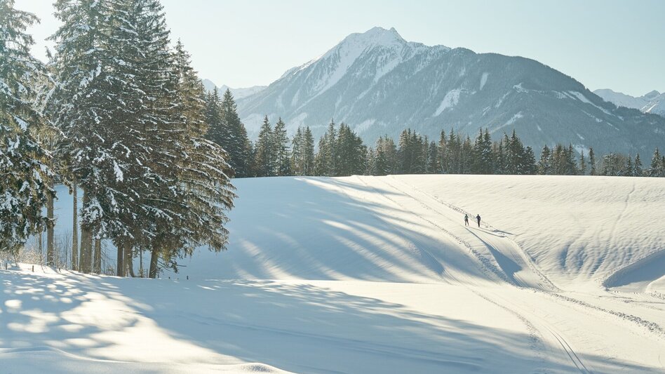 Langlauf klassisch Vorbergloipe - Touren-Impression #2.4 | © Erlebnisregion Schladming-Dachstein