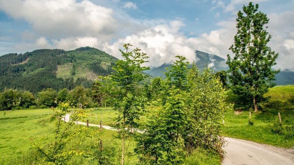 Hiking route Dörfelstein - Touren-Impression #2.1 | © TV Gesäuse