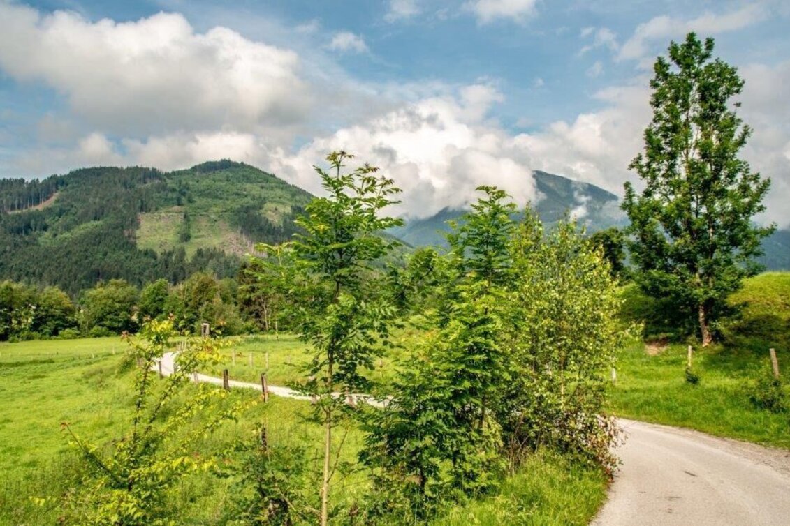 Hiking route Dörfelstein - Touren-Impression #1 | © TV Gesäuse