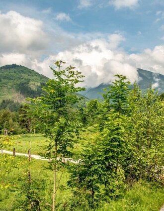 die ersten meter | Tourismusverband Gesäuse | © TV Gesäuse