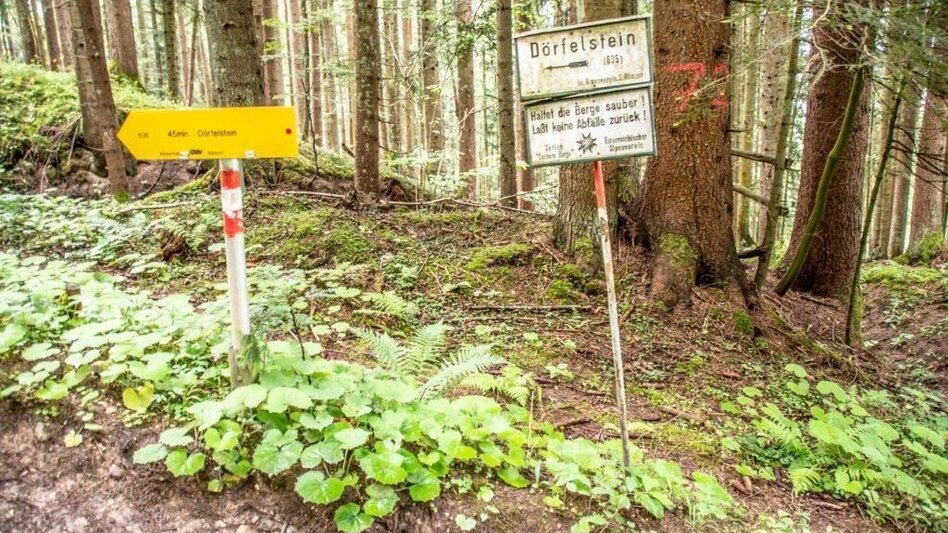 Hiking route Dörfelstein - Touren-Impression #2.3 | © TV Gesäuse