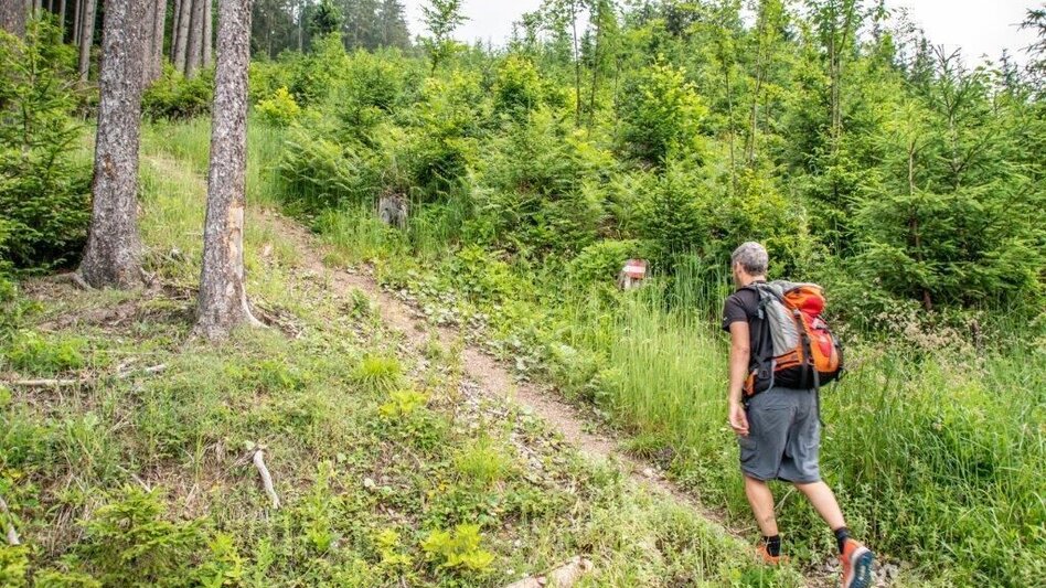 Hiking route Dörfelstein - Touren-Impression #2.4 | © TV Gesäuse