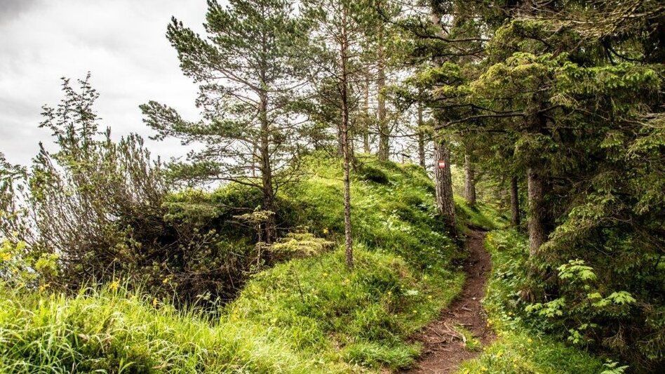 Hiking route Dörfelstein - Touren-Impression #2.5 | © TV Gesäuse