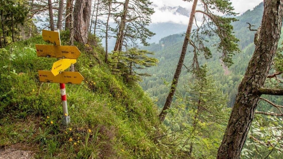 Hiking route Dörfelstein - Touren-Impression #2.8 | © TV Gesäuse