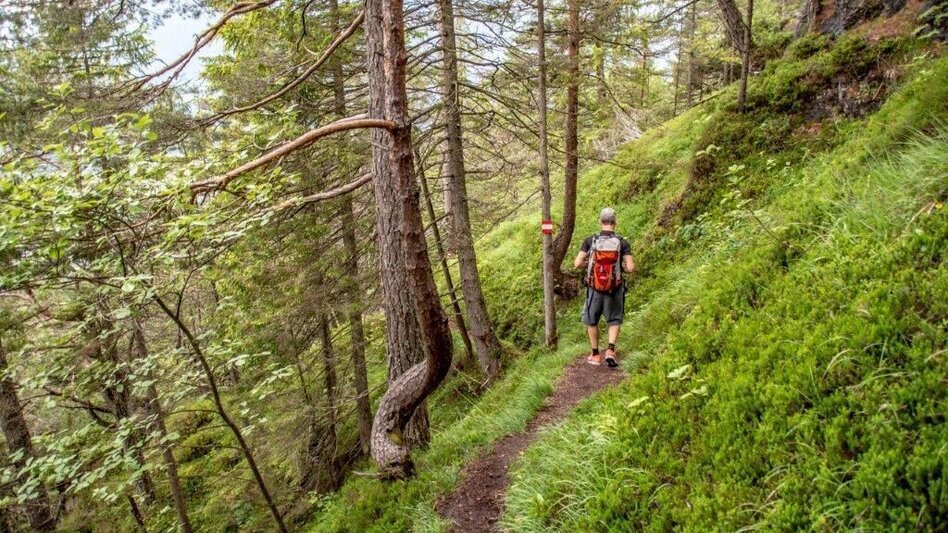 Hiking route Dörfelstein - Touren-Impression #2.10 | © TV Gesäuse