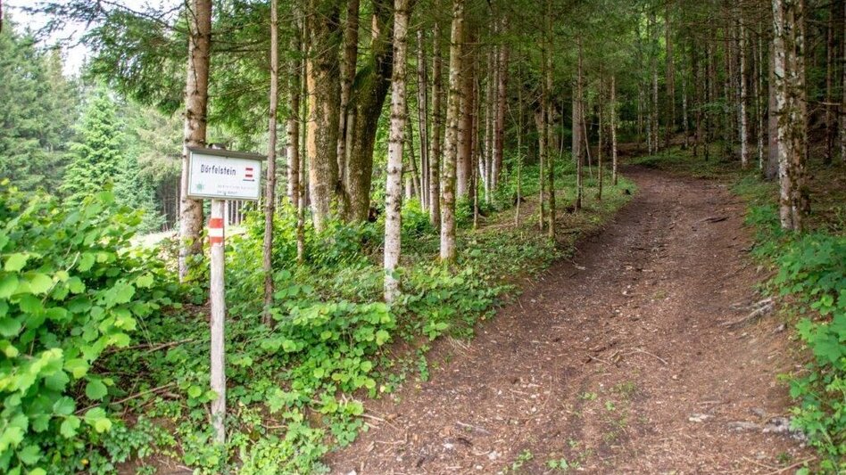 Hiking route Dörfelstein - Touren-Impression #2.11 | © TV Gesäuse