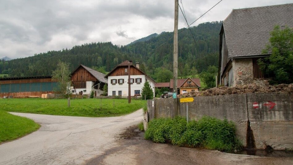Hiking route Dörfelstein - Touren-Impression #2.12 | © TV Gesäuse