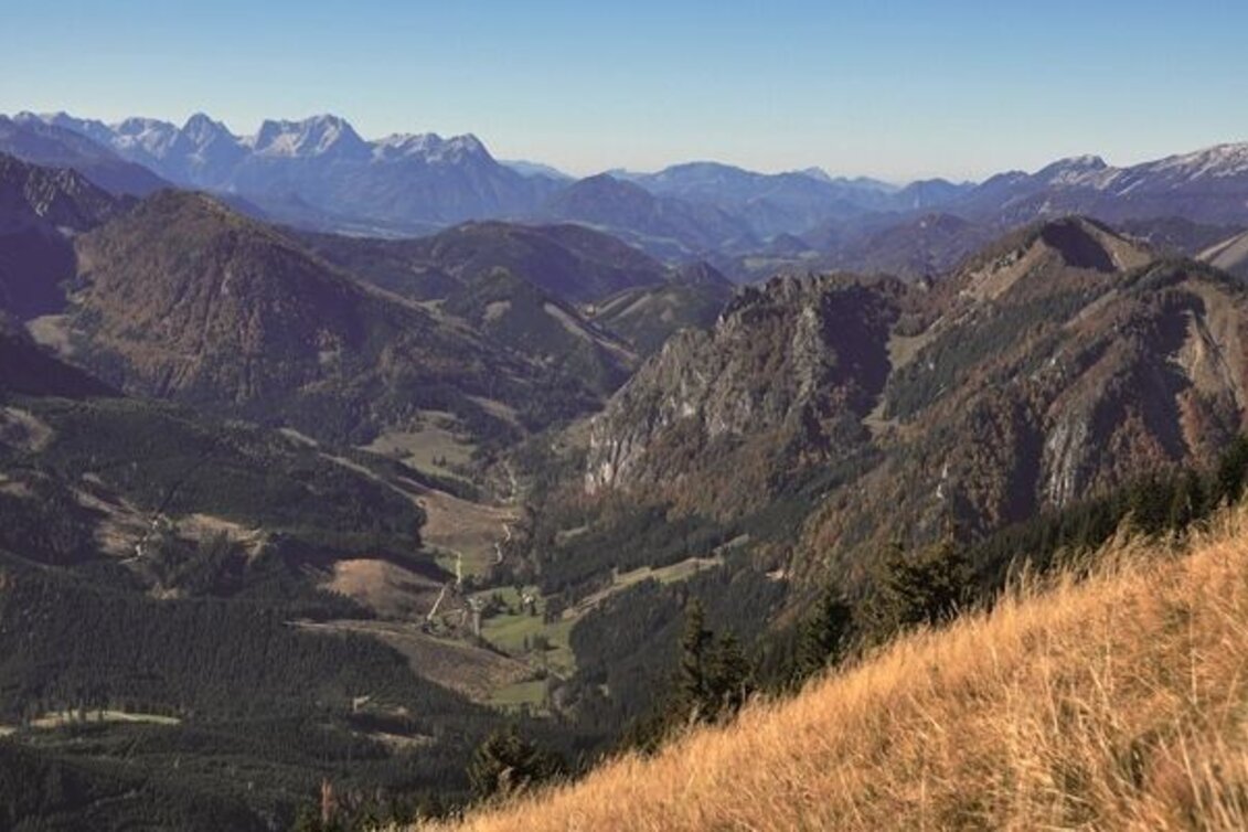 Mountain Hike Gr. Maiereck - Touren-Impression #1 | © TV Gesäuse