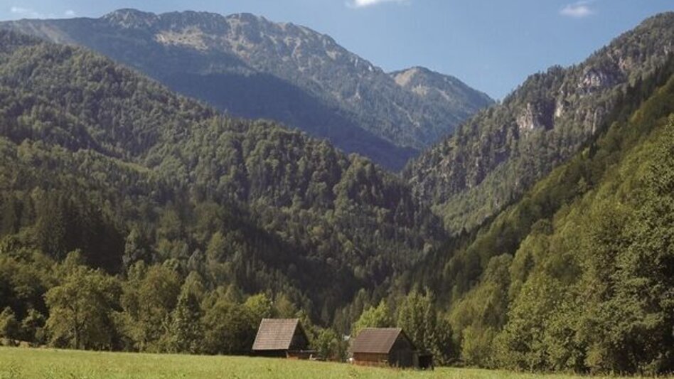 Mountain Hike Gr. Maiereck - Touren-Impression #2.2 | © TV Gesäuse