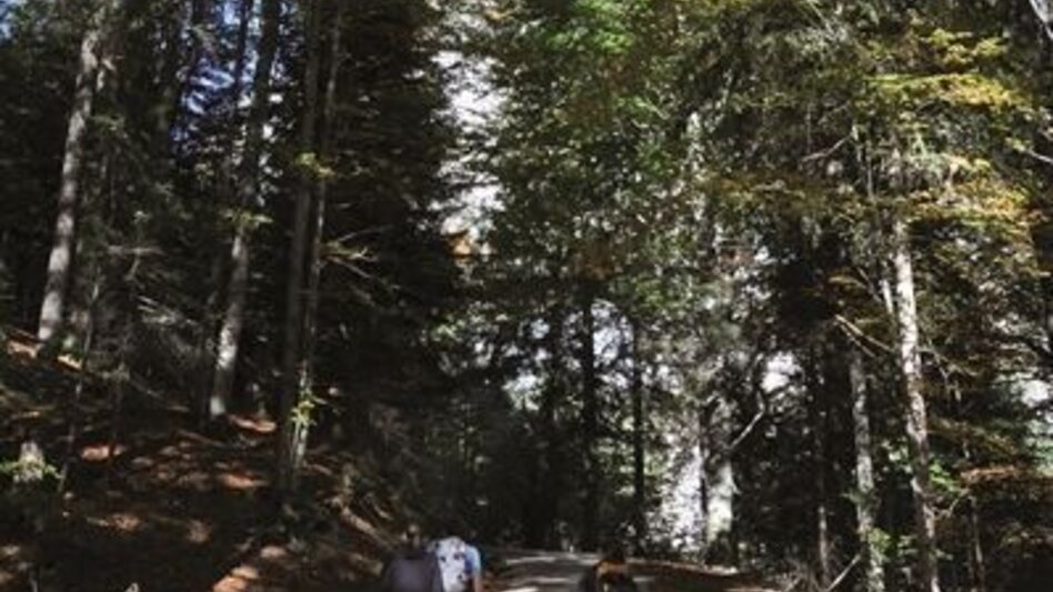 Mountain Hike Gr. Maiereck - Touren-Impression #2.3 | © TV Gesäuse