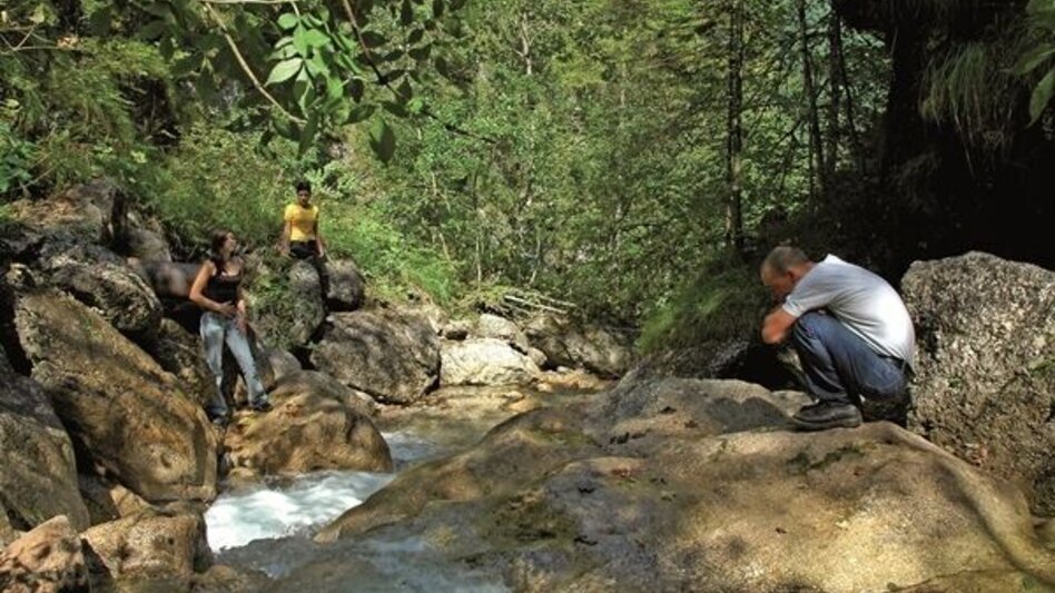 Mountain Hike Gr. Maiereck - Touren-Impression #2.4 | © TV Gesäuse