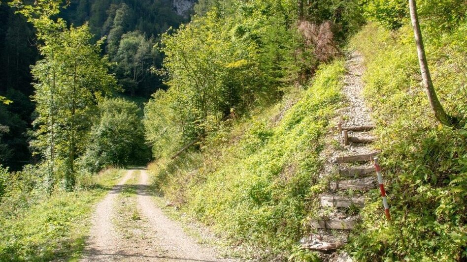 Mountain Hike Gr. Maiereck - Touren-Impression #2.5 | © TV Gesäuse
