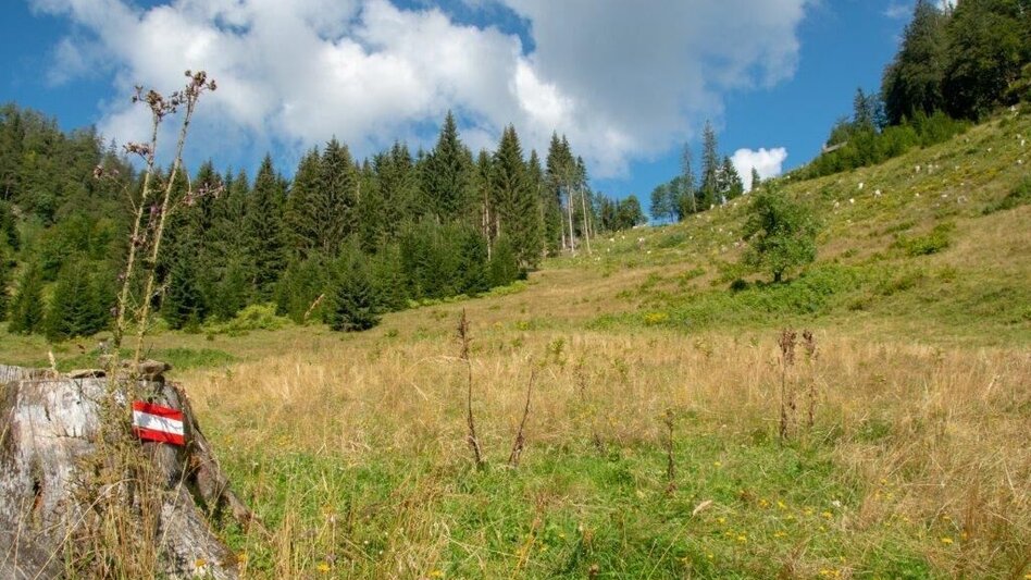 Mountain Hike Gr. Maiereck - Touren-Impression #2.6 | © TV Gesäuse