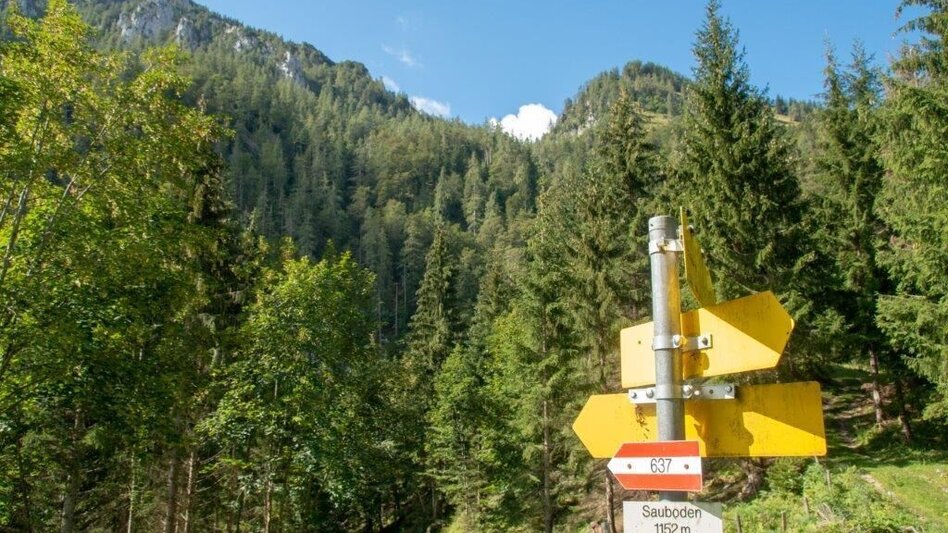 Mountain Hike Gr. Maiereck - Touren-Impression #2.7 | © TV Gesäuse