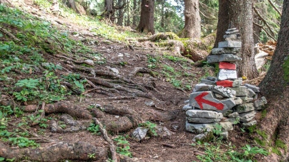 Mountain Hike Gr. Maiereck - Touren-Impression #2.10 | © TV Gesäuse