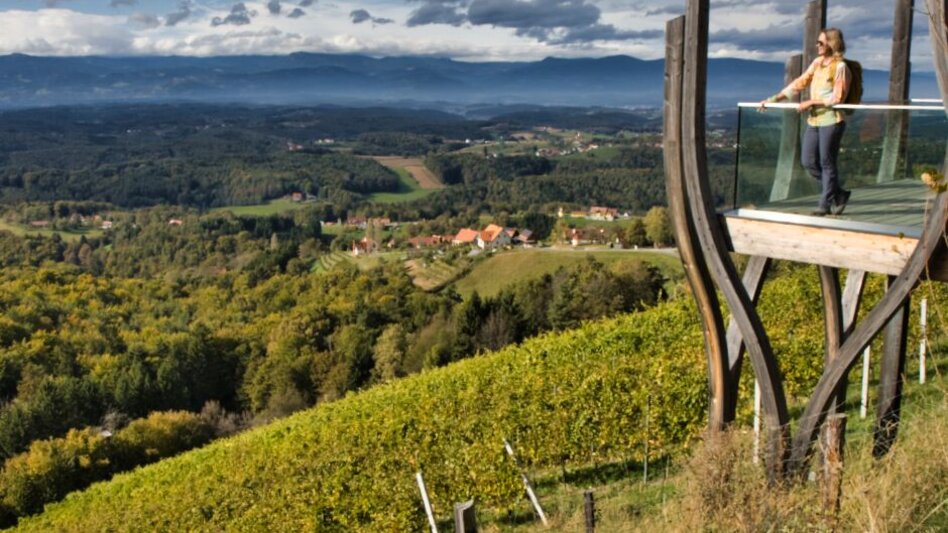 Hiking route Pistorfer circular trail no. 19 - Touren-Impression #2.1 | © TV Südsteiermark - WEGES