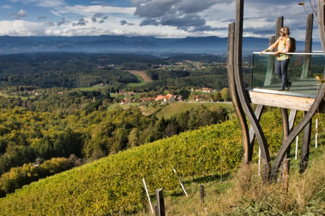 Hiking route Pistorfer circular trail no. 19 - Touren-Impression #1 | © TV Südsteiermark - WEGES