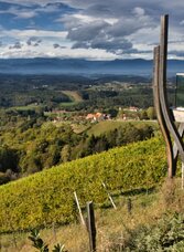 Pistorfer Rundwanderweg (c)Weges (9).jpg | © TV Südsteiermark - WEGES | WEGES | © TV Südsteiermark - WEGES