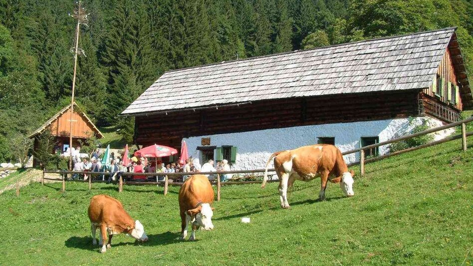 Hiking route Via the Ebnerbauer to the Kölblalm - Touren-Impression #2.5 | © TV Gesäuse