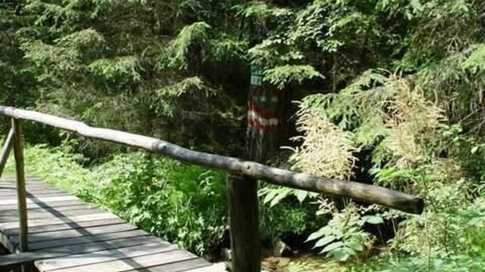 Wanderung Spengerwirt - Pongratzwirt - Hirschegg - Touren-Impression #2.2 | © Region Graz