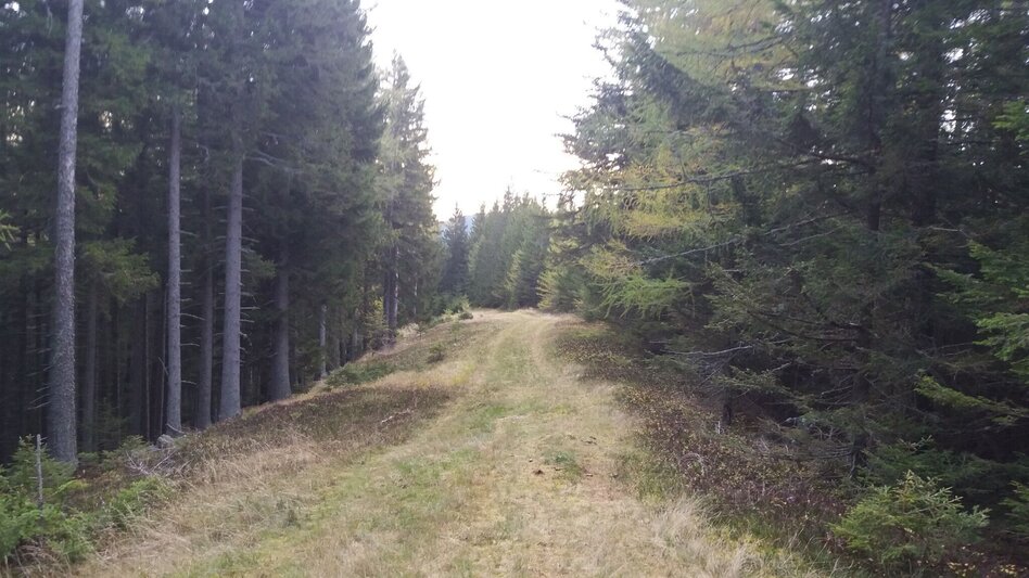 Hiking route Franz Göbl Gedenksteig - Touren-Impression #2.9 | © Region Graz