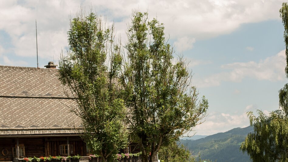 Nordic Walking Piererberg-Rundmeile - Touren-Impression #2.3 | © Naturerlebnis Bürgeralm