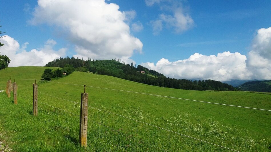 Themen- und Lehrpfad Montanhistorischer Wanderweg - Touren-Impression #2.5 | © Region Graz
