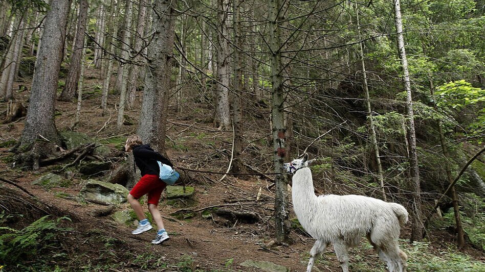 Wanderung Von Hirschegg zum Spengerwirt (Neuhäuslwirt) - Touren-Impression #2.3 | © Region Graz