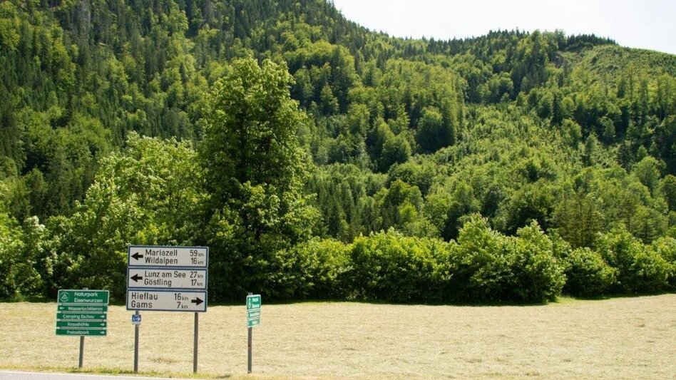 Mountainbike Buchsteinrunde Etappe 2  (Palfau - Johnsbach) - Touren-Impression #2.7 | © TV Gesäuse