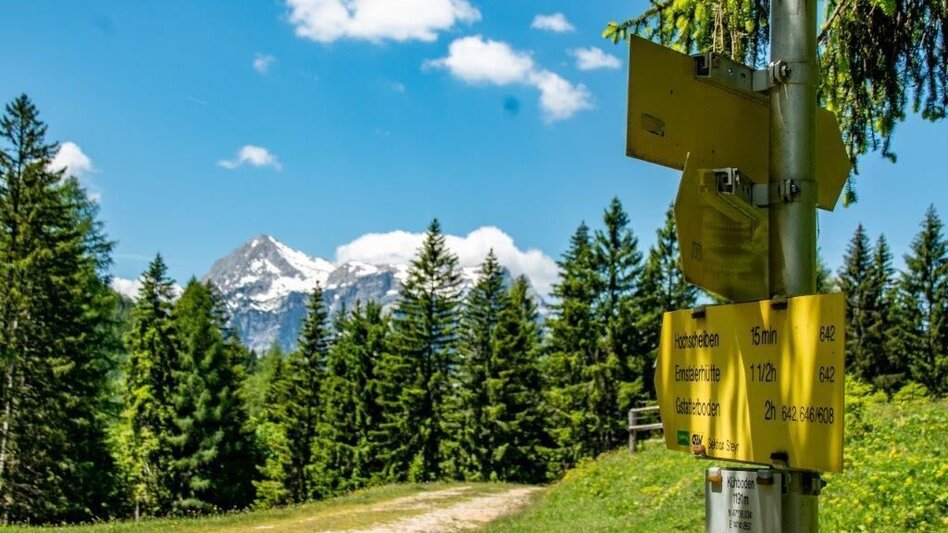 Mountainbike Buchsteinrunde Etappe 2  (Palfau - Johnsbach) - Touren-Impression #2.12 | © TV Gesäuse