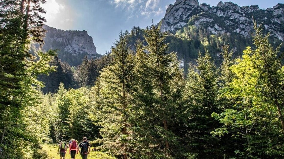 Mountain Hike Admont - Hahnstein - Admonter Kalbling - Klinkehütte - Mödlingerhütte - Johnsbach - Touren-Impression #2.9 | © TV Gesäuse