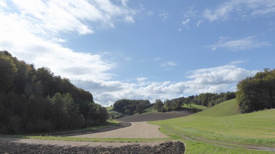 Wanderung Greith-Wege St. Ulricher Rundweg - Touren-Impression #2.3 | © Südsteiermark/Christian Heugl