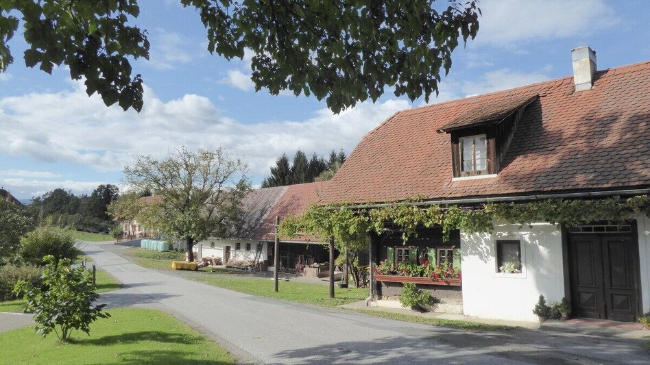 Wanderung Greith-Wege St. Ulricher Rundweg - Touren-Impression #2.2 | © TV Südsteiermark/Christian Heugl
