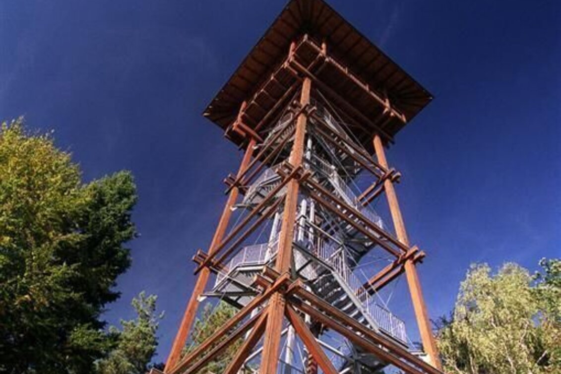Hiking route Großkleiner Harmonieweg Nr. 14 - Touren-Impression #1 | © Südsteiermark