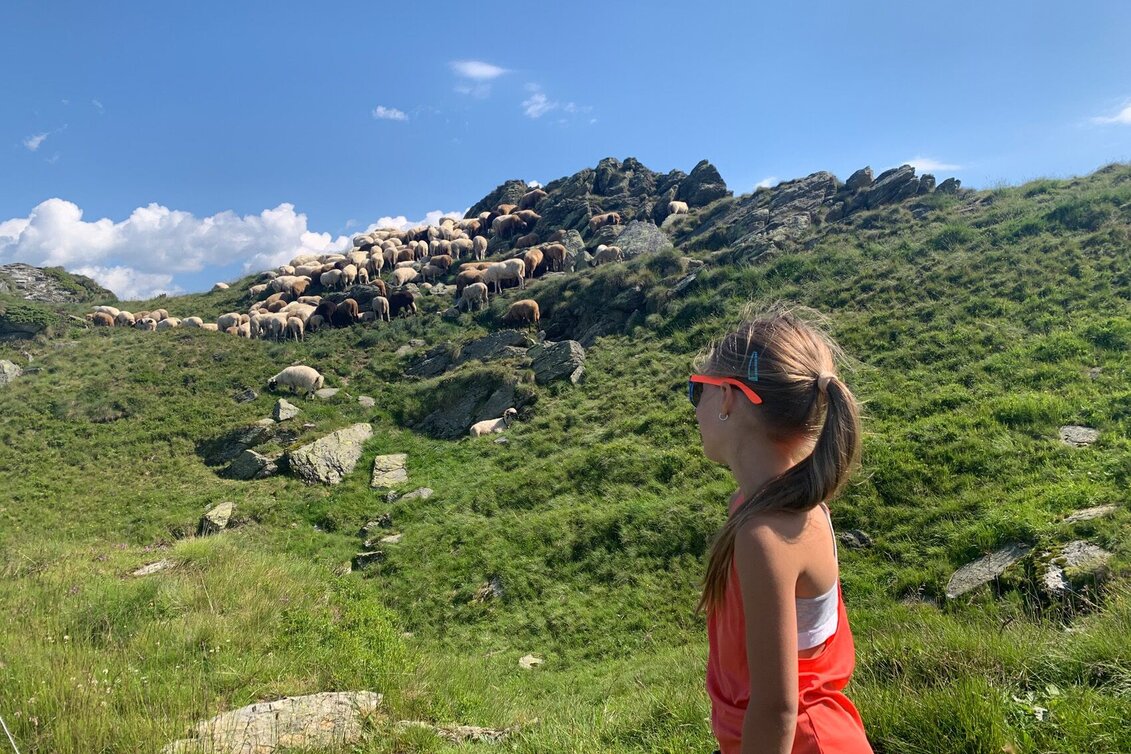 Wanderung Schafsinn-Rundweg am Hauser Kaibling - Touren-Impression #1 | © Erlebnisregion Schladming-Dachstein