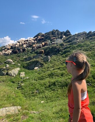 schafsinn-rundweg am hauser kaibling_img_86784092 | Hauser Kaibling | © Erlebnisregion Schladming-Dachstein