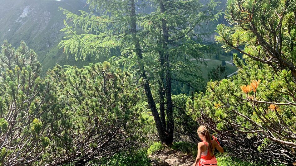 Wanderung Schafsinn-Rundweg am Hauser Kaibling - Touren-Impression #2.2 | © Erlebnisregion Schladming-Dachstein