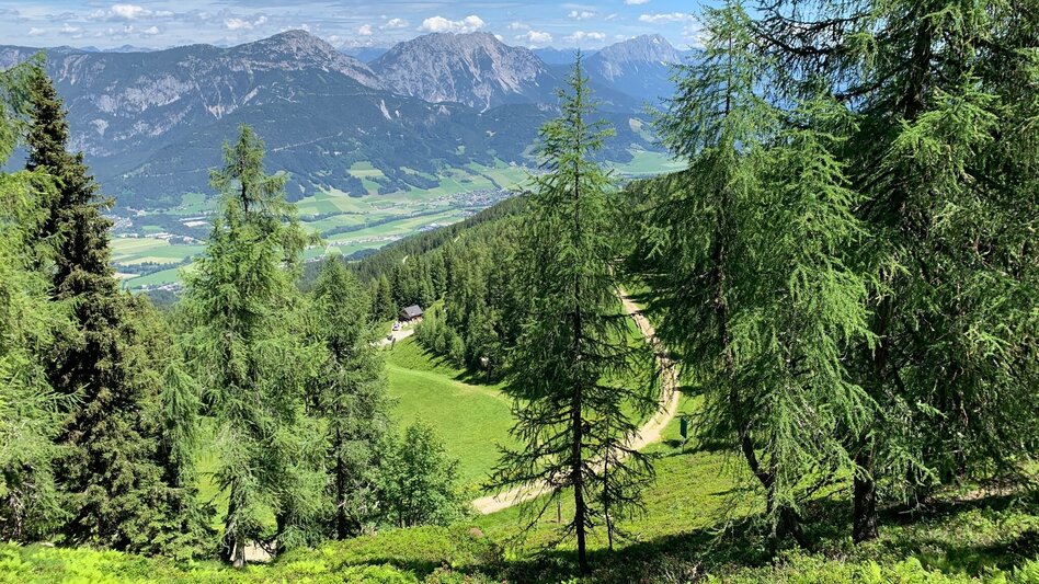 Wanderung Schafsinn-Rundweg am Hauser Kaibling - Touren-Impression #2.4 | © Erlebnisregion Schladming-Dachstein