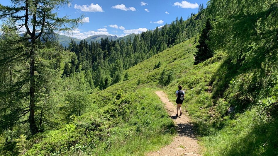 Wanderung Schafsinn-Rundweg am Hauser Kaibling - Touren-Impression #2.6 | © Erlebnisregion Schladming-Dachstein