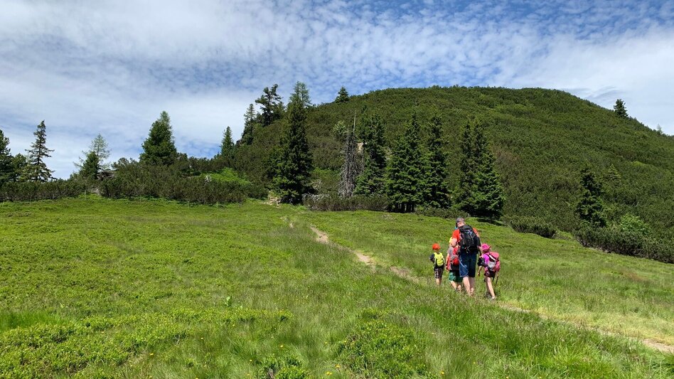 Wanderung Schafsinn-Rundweg am Hauser Kaibling - Touren-Impression #2.7 | © Erlebnisregion Schladming-Dachstein
