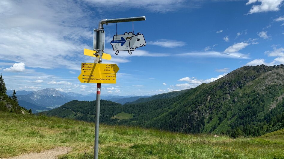 Wanderung Schafsinn-Rundweg am Hauser Kaibling - Touren-Impression #2.8 | © Erlebnisregion Schladming-Dachstein