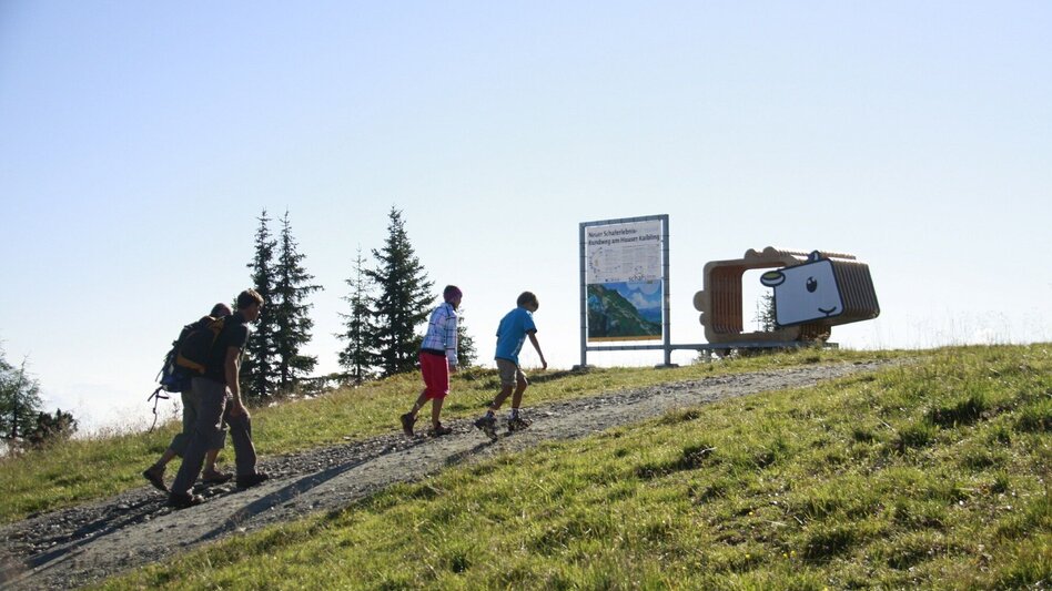 Wanderung Schafsinn-Rundweg am Hauser Kaibling - Touren-Impression #2.12 | © © www.schafsinn.at