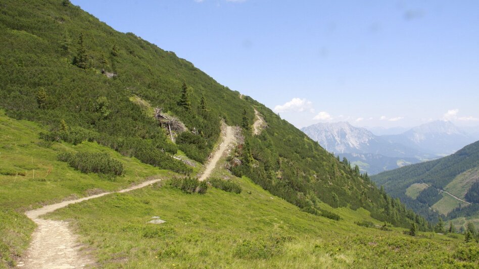 Wanderung Schafsinn-Rundweg am Hauser Kaibling - Touren-Impression #2.13 | © © www.schafsinn.at