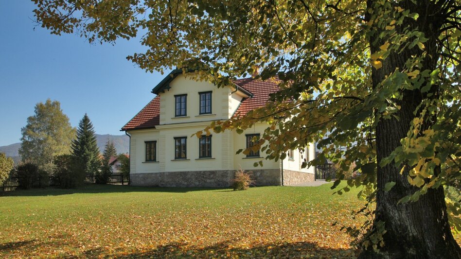 Mountainbike Von Langenwang über den Feistritzberg auf die Malleisten Alm - Touren-Impression #2.2 | © TV Hochsteiermark