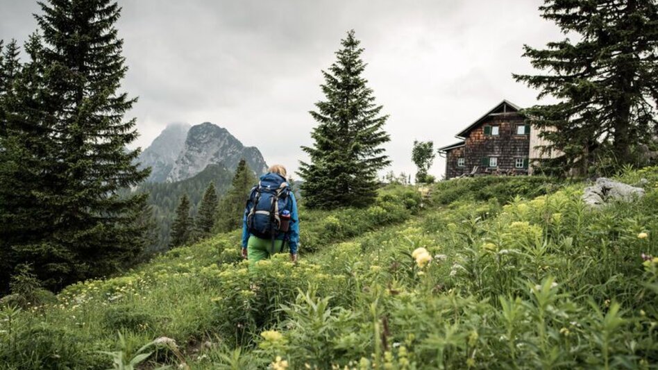 Hiking route From the Gesäuse National Park via the Ennstalerhütte into the Eisenwurzen Nature Park - Touren-Impression #2.6 | © TV Gesäuse