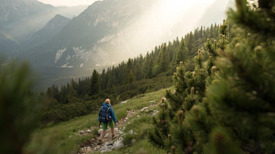 Hiking route From the Gesäuse National Park via the Ennstalerhütte into the Eisenwurzen Nature Park - Touren-Impression #2.9 | © TV Gesäuse