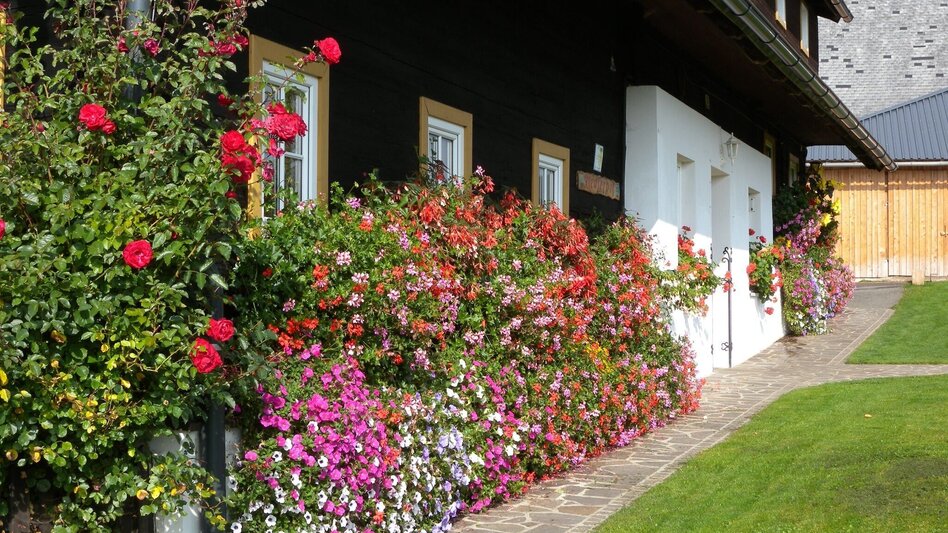 Wanderung Fischbacher Spazierweg, Fischbach - Touren-Impression #2.4 | © Oststeiermark Tourismus
