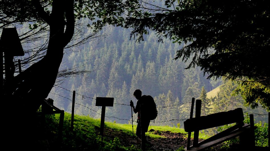 Pilgrim Walk Mariazeller Weg 7. Tagesetappe - Touren-Impression #2.4 | © (c) Steiermark Tourismus/Manfred Polansky