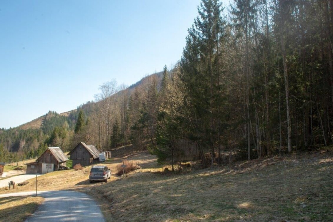 Hiking route Akogelrunde von Palfau - Touren-Impression #1 | © TV Gesäuse