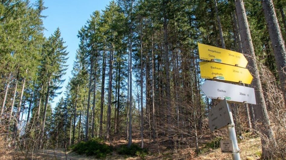 Hiking route Akogelrunde von Palfau - Touren-Impression #2.2 | © TV Gesäuse